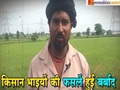उड़द मार्केट आउटलुक: बुंदेलखंड में फसल को नुकसान.....सीसी कमोडिटी - न्यूज़ अपडेट फ्रॉम बुंदेलखंड।